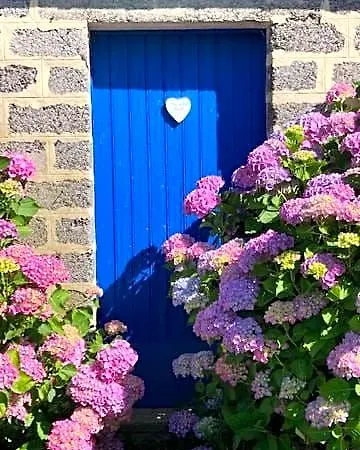 Bed & Breakfast L'armandiere Sainte-Colombe (Seine-Maritime)