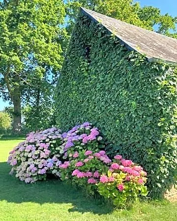Bed & Breakfast L'armandiere Sainte-Colombe (Seine-Maritime)